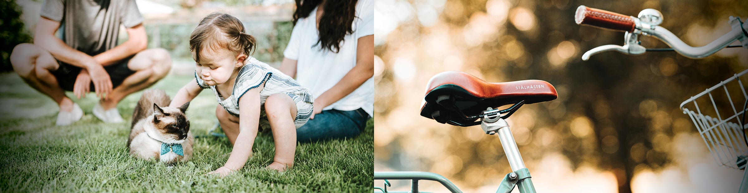 image of child with a cat next to an image of a bike