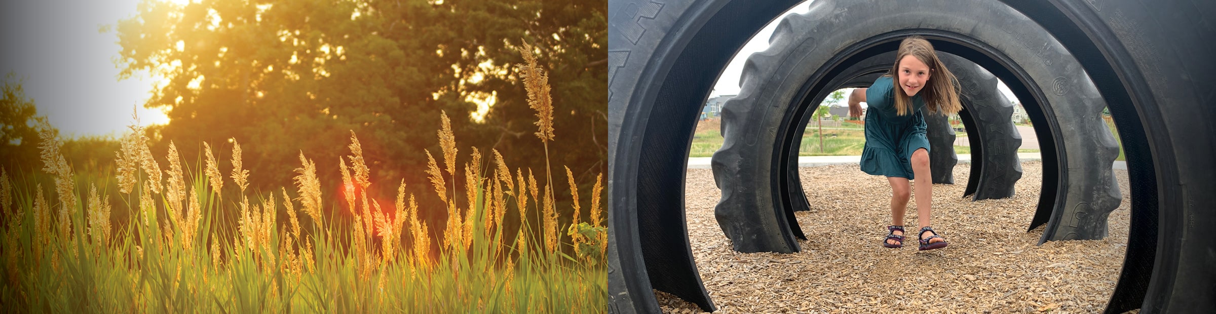 photo of tall grass next to photo of child playing