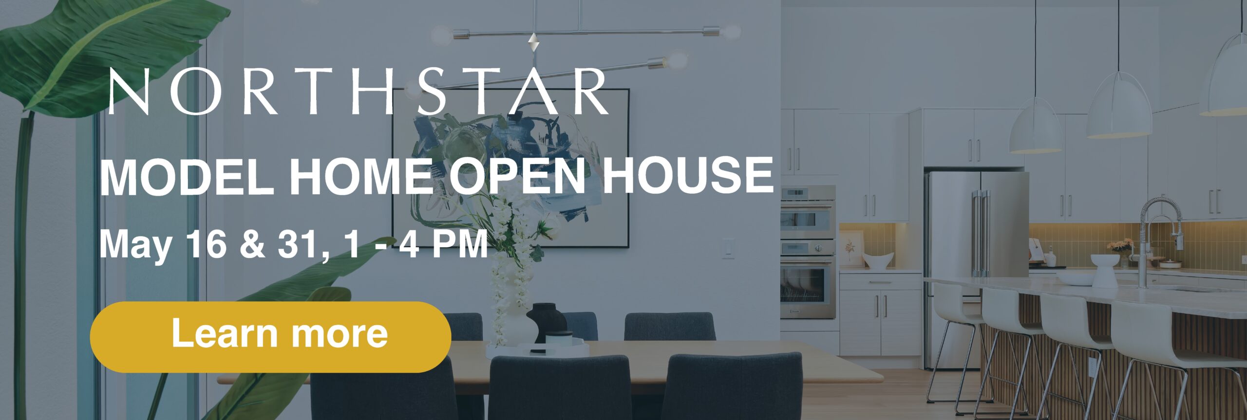 NS Open House